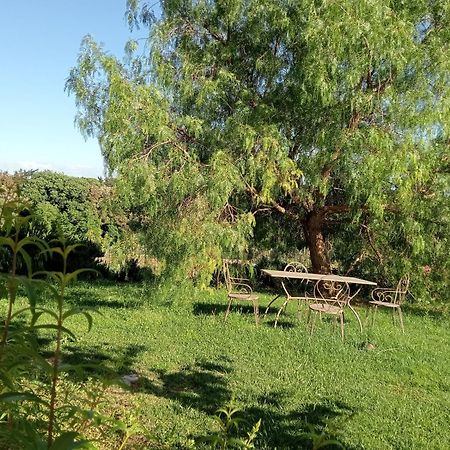 Agriturismo Podere Gianmaria Castiglioncello Exteriör bild