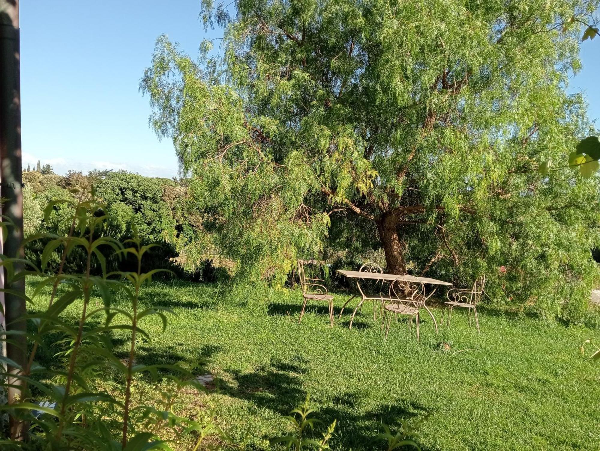 Agriturismo Podere Gianmaria Castiglioncello Exteriör bild